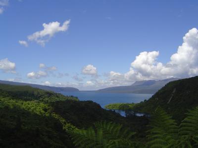 Rotorua (7).JPG