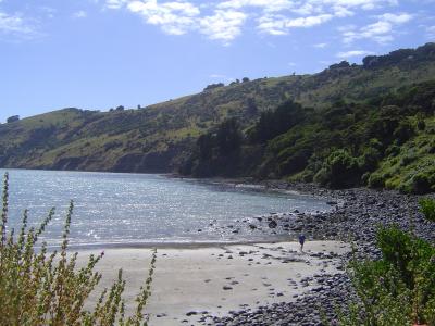 Scenery around Akaroa (2).JPG