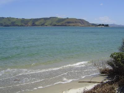 Otago Peninsula (1).JPG