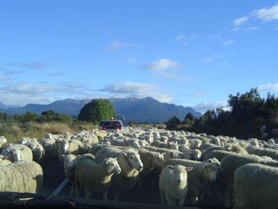 g3/74/267674/3/55412580.MilfordSoundTrafficJamontheroadtoMilfordSound2.jpg