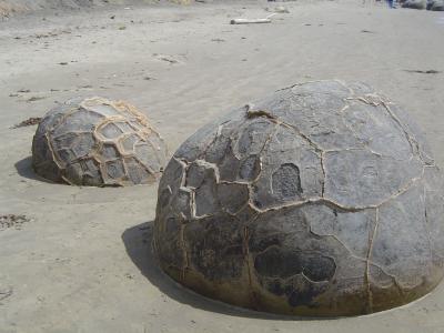Moeraki boulders (1).JPG