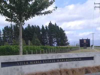 Villa Maria Winery -  For Andrea's Dad (1).JPG