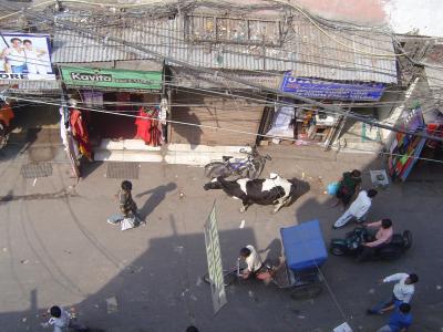 Street Scenes of Delhi (2).JPG