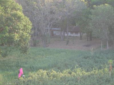 g3/74/267674/3/58504956.PushkarOrchardofourhotelinPushkar.jpg