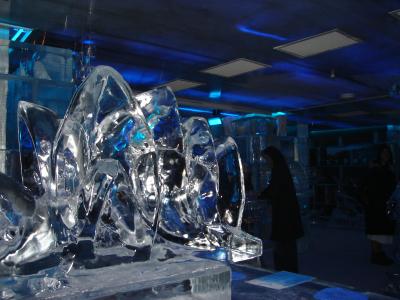 Ice Bar (Opera House Sculpture).JPG