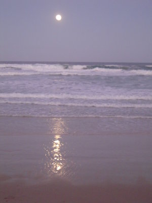 Full Moon brought an early end to beach driving!.JPG