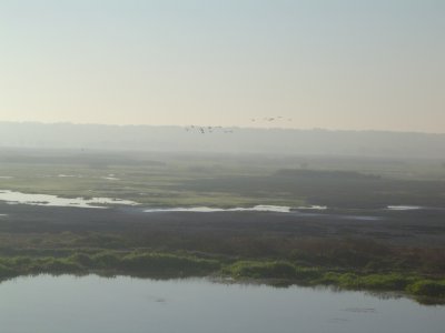 The flood plains.JPG