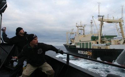 Sea-Shepherd-crew.jpg