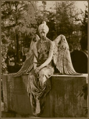Angel.jpg