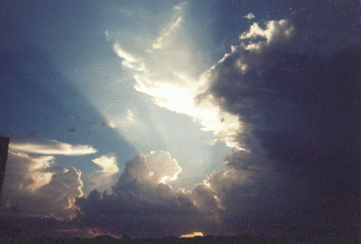 S.gif
