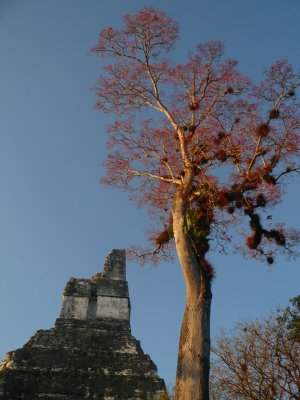 Guatemala