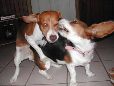 g3/74/303674/3/56274424.PassionofLove.jpg