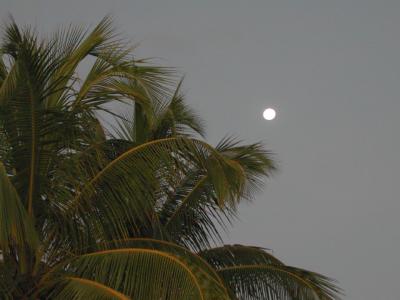 Luna Llena en Playa Carrillo