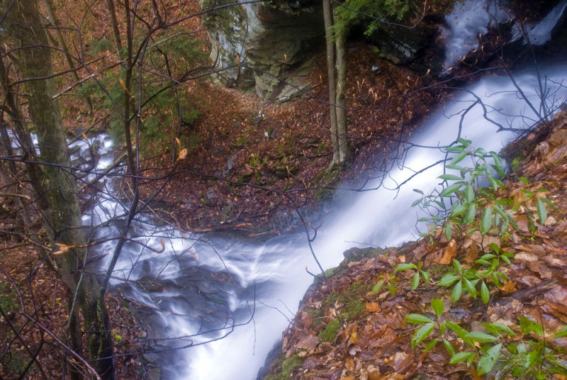 Jerry Run Falls