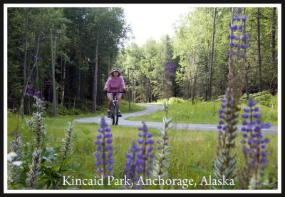 Kincaid Park bicycle trail