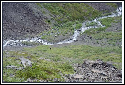 Outflow of Flute Glacier-note small human below.