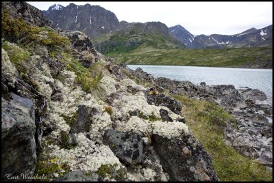 Lichens & Eagle Lake