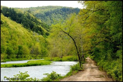 Owassee Road & Pine Creek