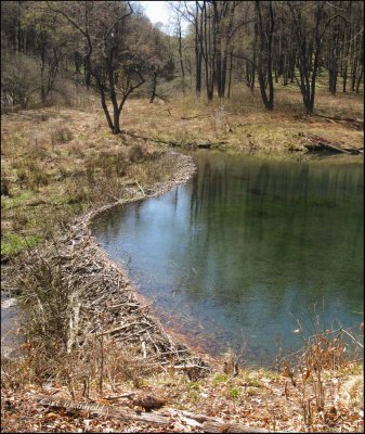 Beaver Dam