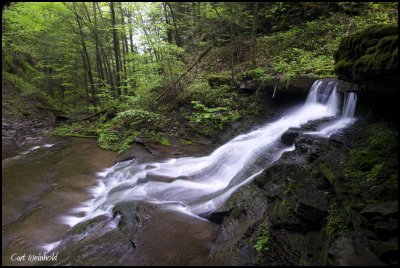 Campbell Run, upper falls