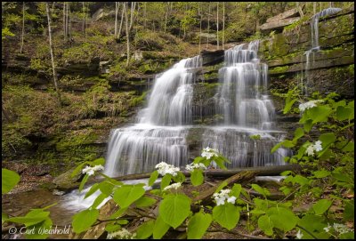 Middle Falls of Little Four Mile Run