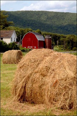 Round Bales, Tioga County