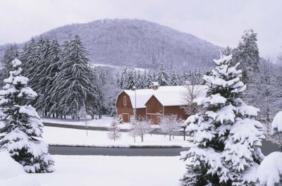 Johnson Barns