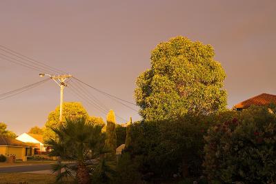 PSP_MG_5475-01.jpg