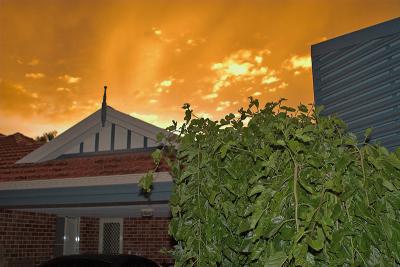PSP_MG_5480-01.jpg