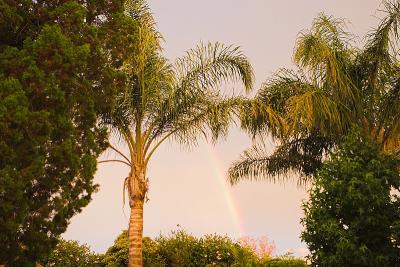 PSP_MG_5486-01.jpg