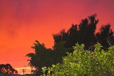 PSP_MG_5511-01.jpg