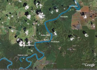 Google Earth of Sukau area