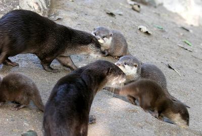 Newquay Zoo