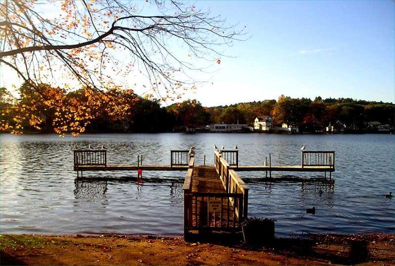 Pond at late afternoon