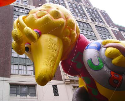 Big Bird - up close