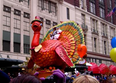 Giant turkey
