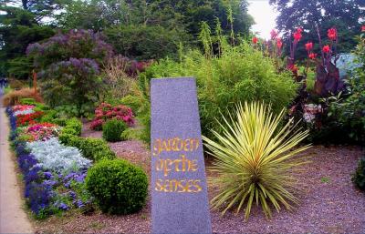 Garden of the senses in Tralee Ireland