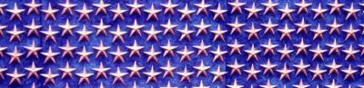 ww2banner.jpg
