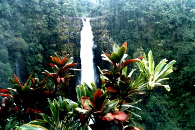 Akaka Falls in Hawaii