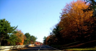 Driving into fall