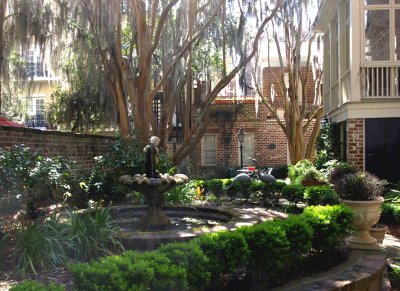 A Savannah garden