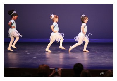IMG_6137_2.JPG