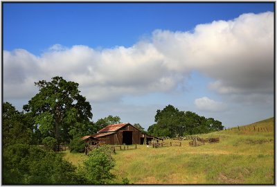 IMG_2934_2.jpg