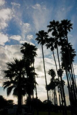 02_CRW_0187.jpg/Goleta Beach