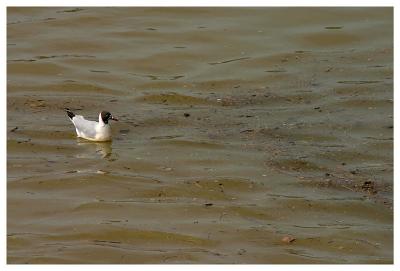 La Loire se fche