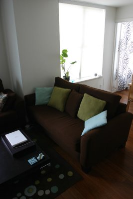 living room (fresh paint, new floor, new blinds)
