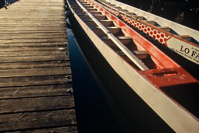 dragonboats at rest