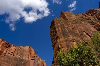 Zion