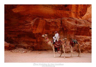 Petra - 