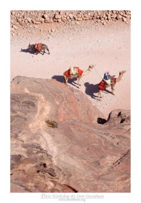 Petra - 